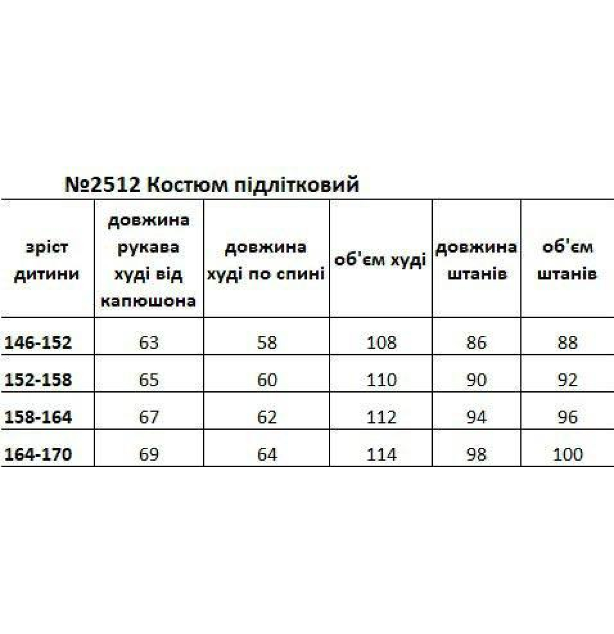 ВЕСНЯНИЙ ПІДЛІТКОВИЙ ОВЕРСАЙЗ КОСТЮМ 2512